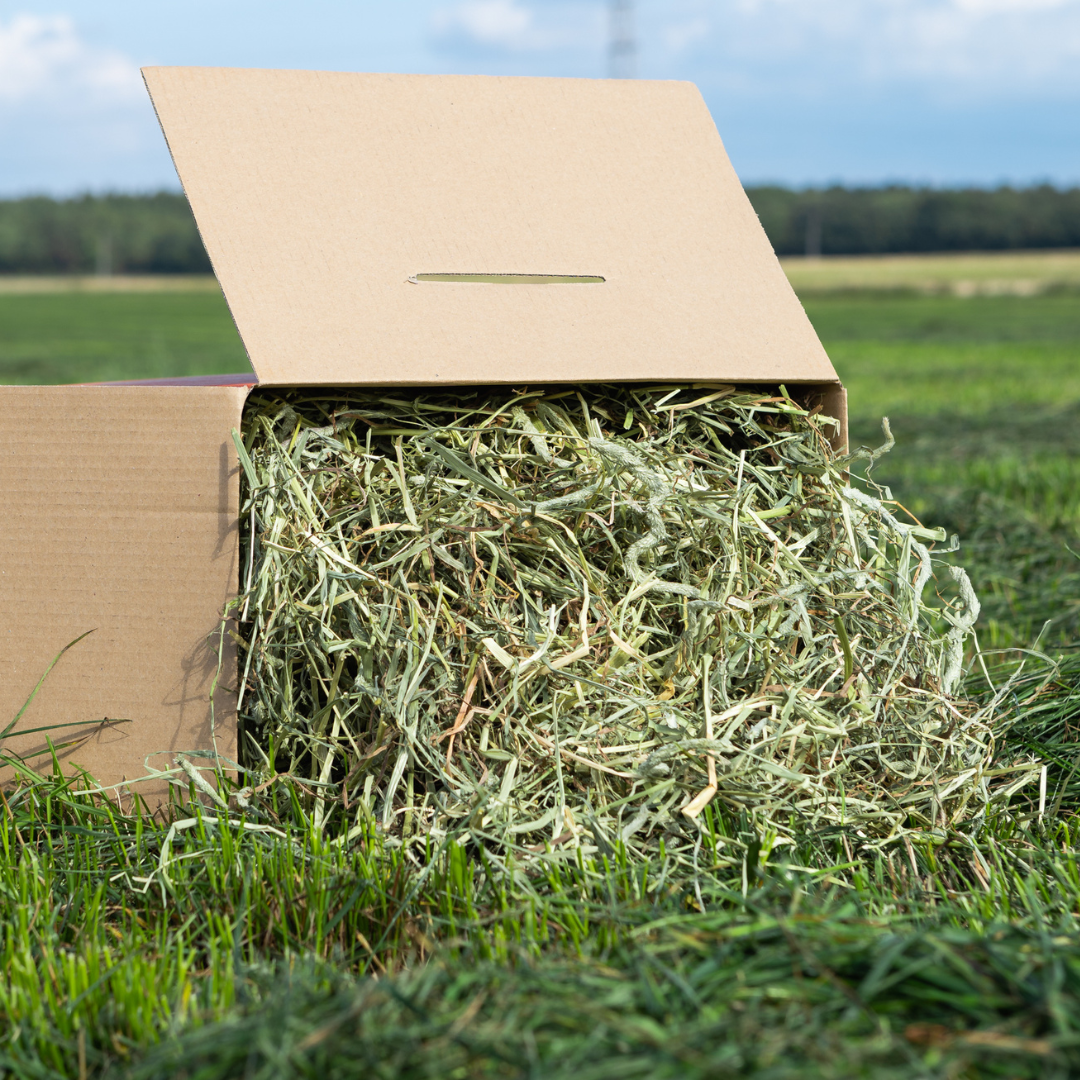 Tasty Timothy Hay Box