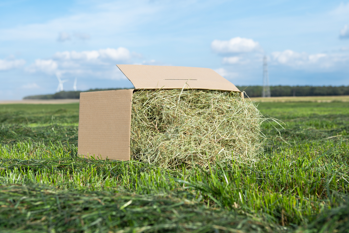 Meadow hay for outlet rabbits