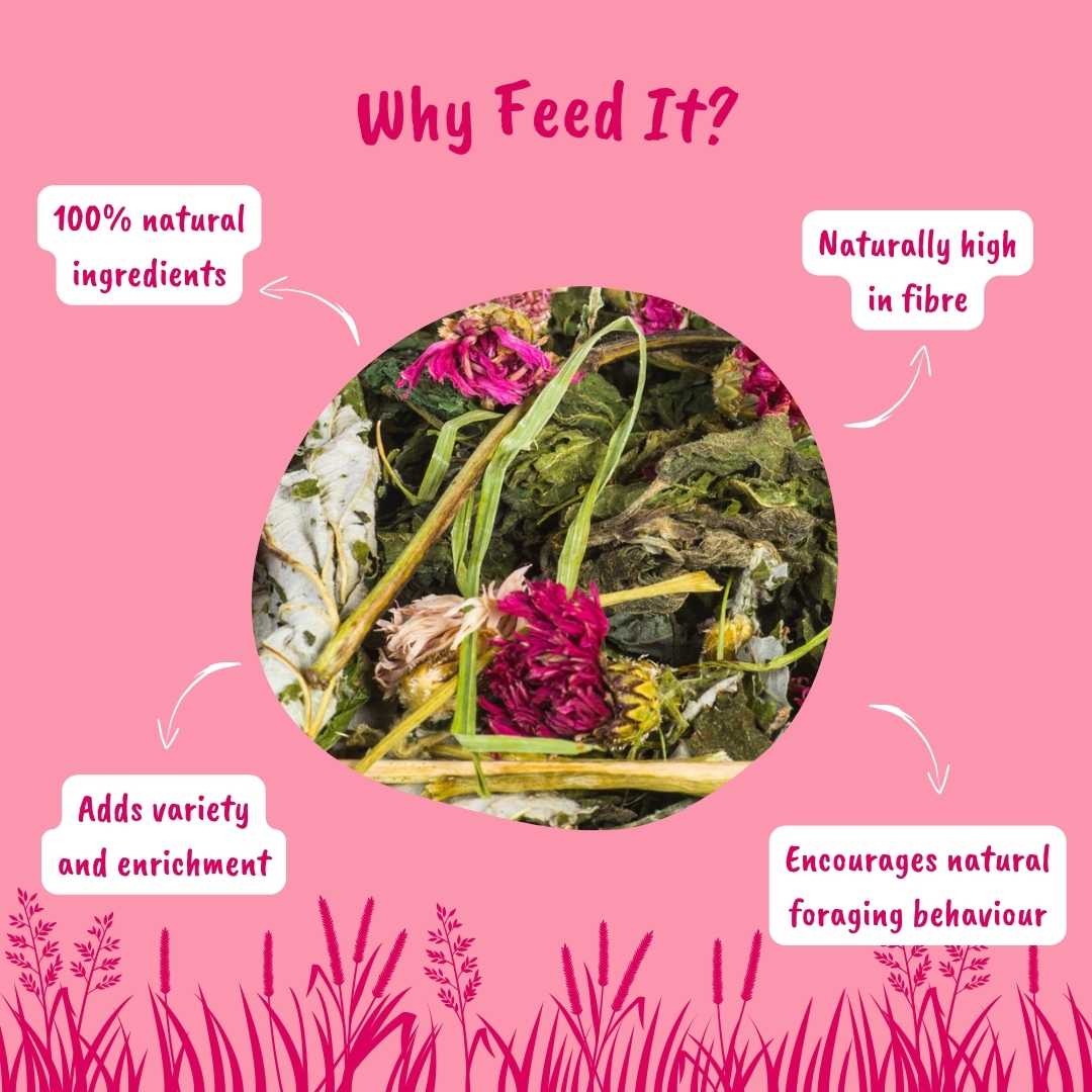 Why Feed Floral Forage? - HayDay HQ