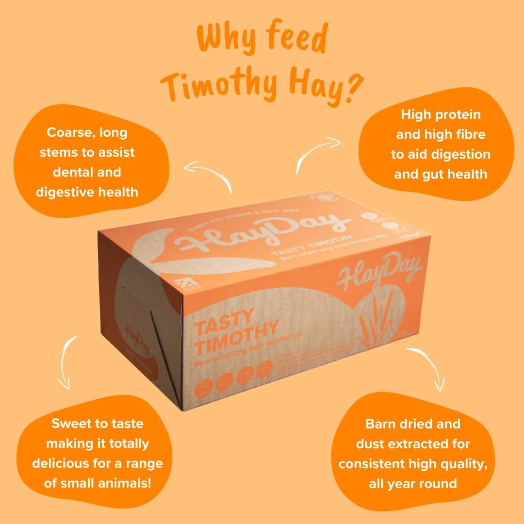 Why Feed Timothy Hay? - HayDay HQ