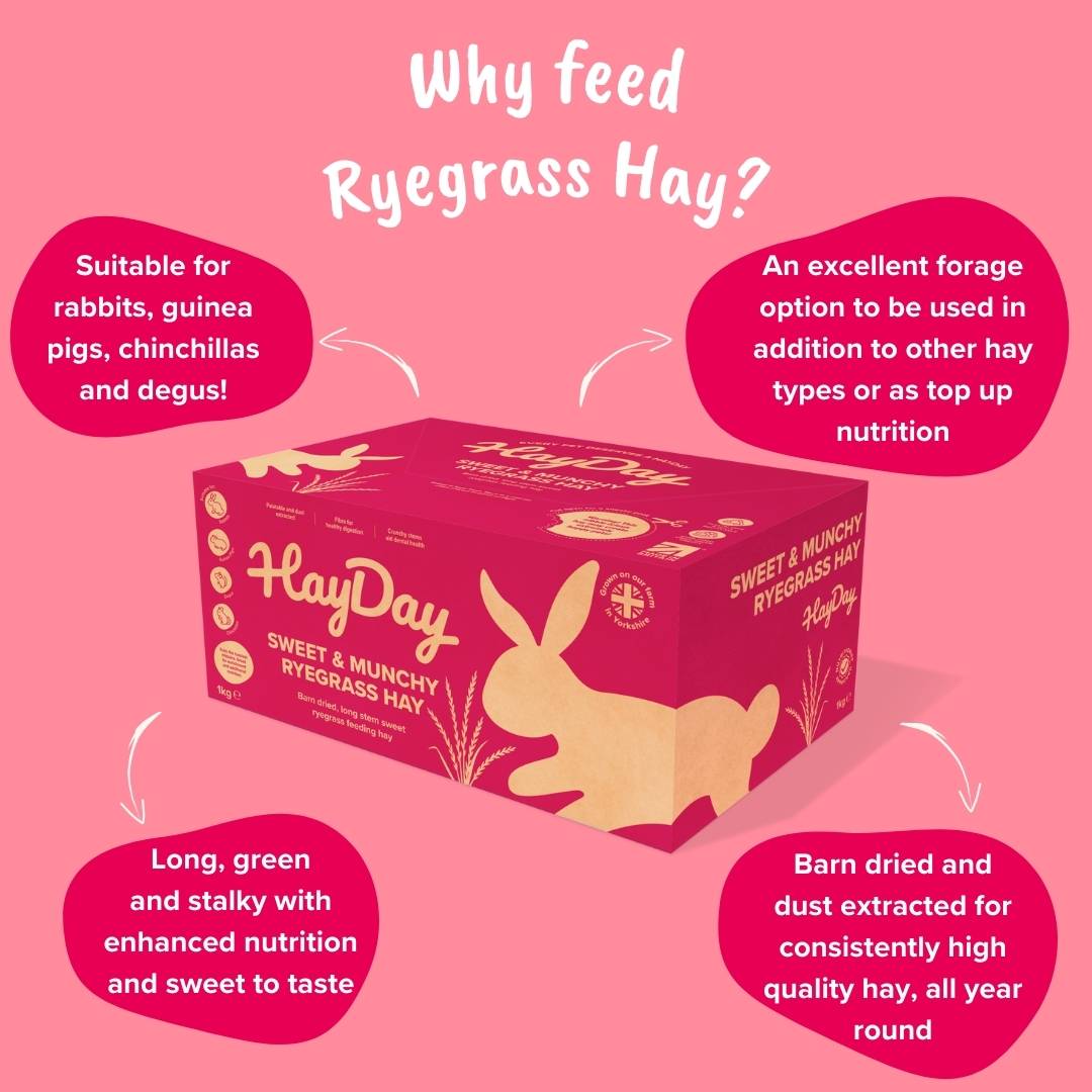 Why Feed Ryegrass Hay? - HayDay HQ