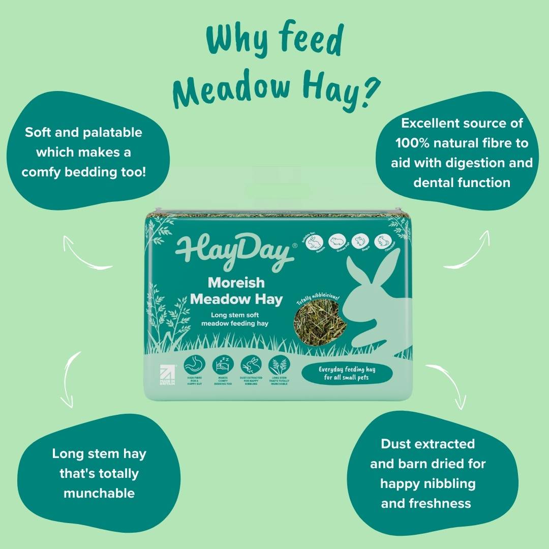 Why Feed Meadow Hay?