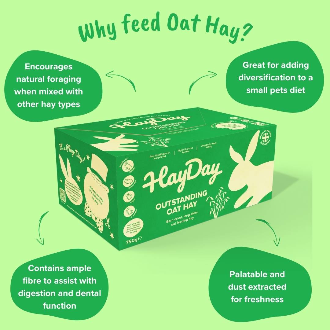 Why Feed Oat Hay? - HayDay HQ