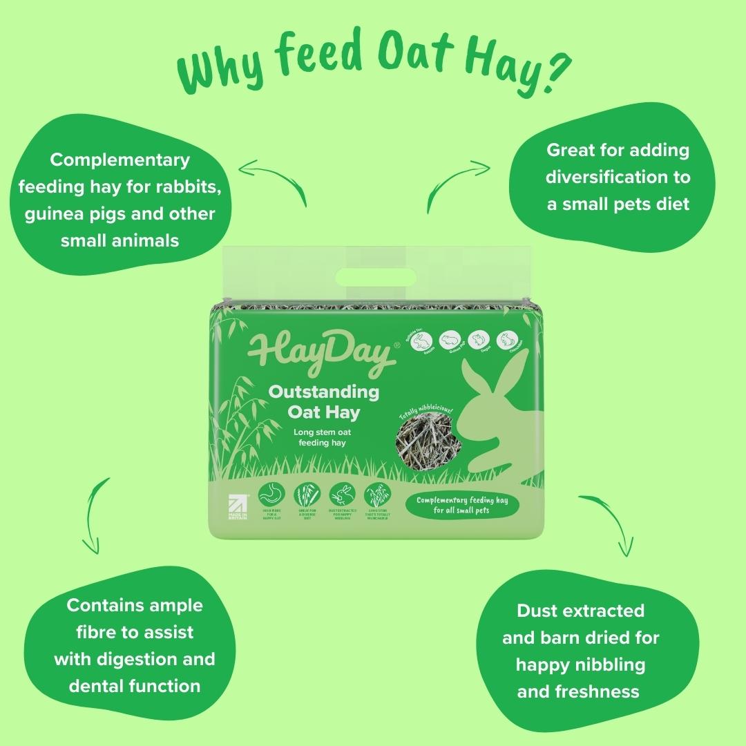 HayDay Outstanding Oat Hay with benefits listed on a green background.