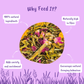 Wildflower Wonder Forage Mix for Small Pets - Info