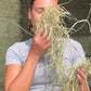 Tasty Timothy Hay 4.5kg