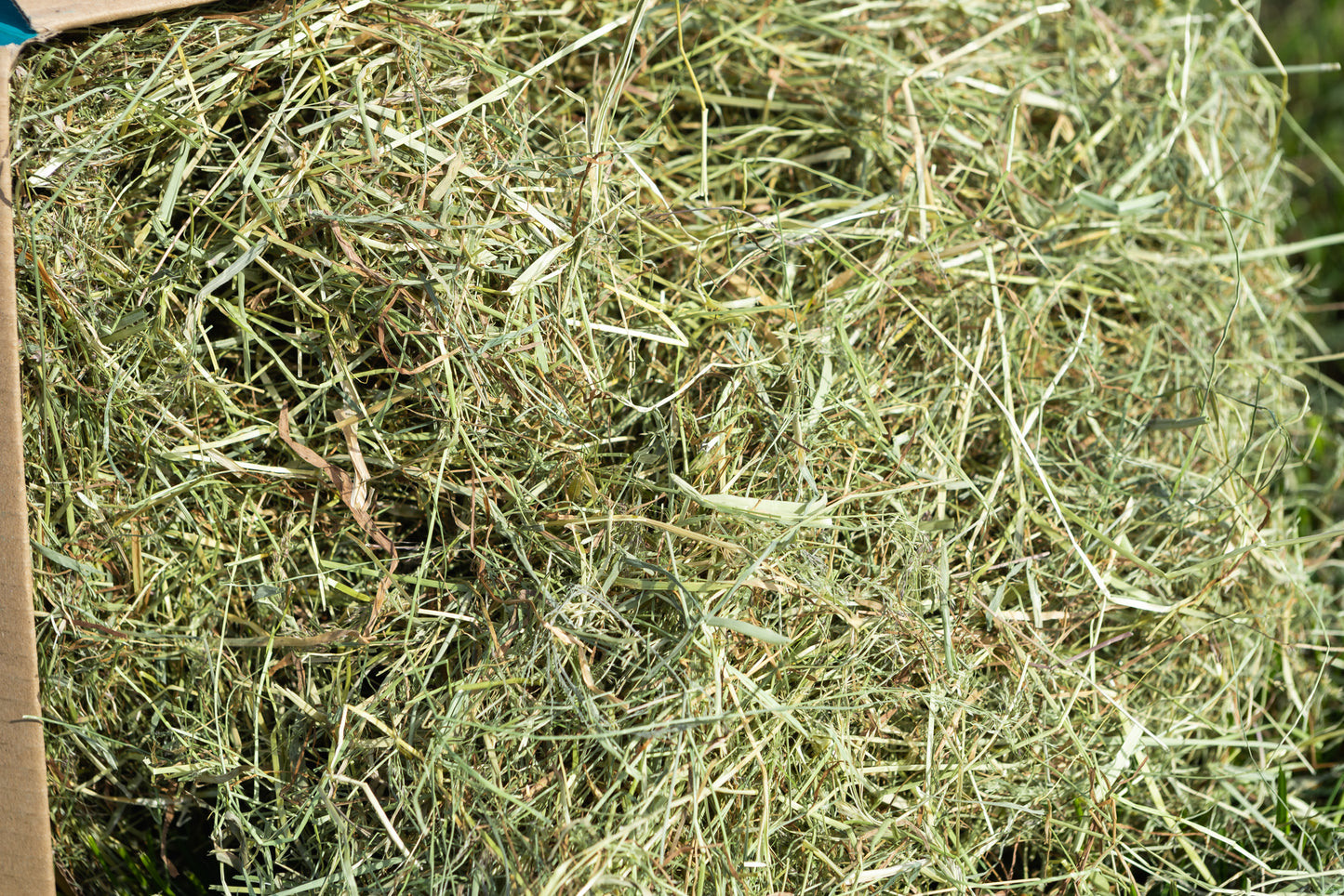 Moreish Meadow Hay 4.5kg